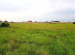 Ngoigwa Estate Plot For Sale, Thika