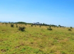 Mwalimu Farm 50_100 plots (10)