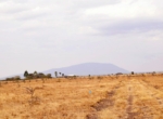 Mwalimu Farm Plots for Sale, Ruiru09-17 09.01.03