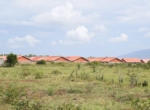 Kenya Homes