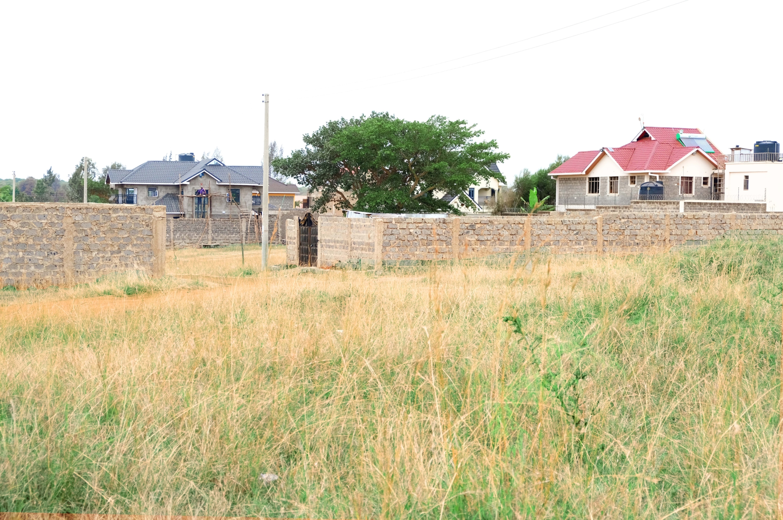 Tola Ngoingwa 40 by 80 Residential Plots