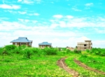 Ruiru Kamakis Alpha Court Phase III 50*100 Residential Plots
